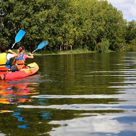 Les Cygnes Au Bord Du Loing Villa Montigny-sur-Loing Eksteriør billede